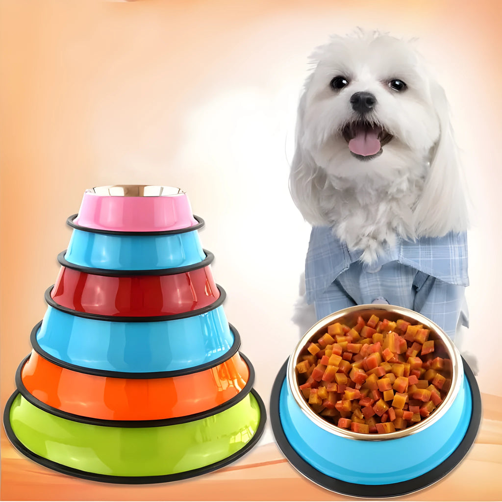 Colourful stainless steel pet bowl with non-slip rubber base available in multiple sizes
