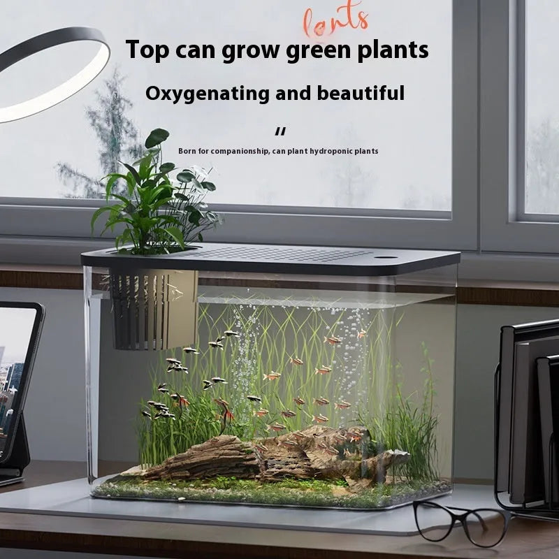 Medium plastic betta fish tank with cover in black or white colour options
