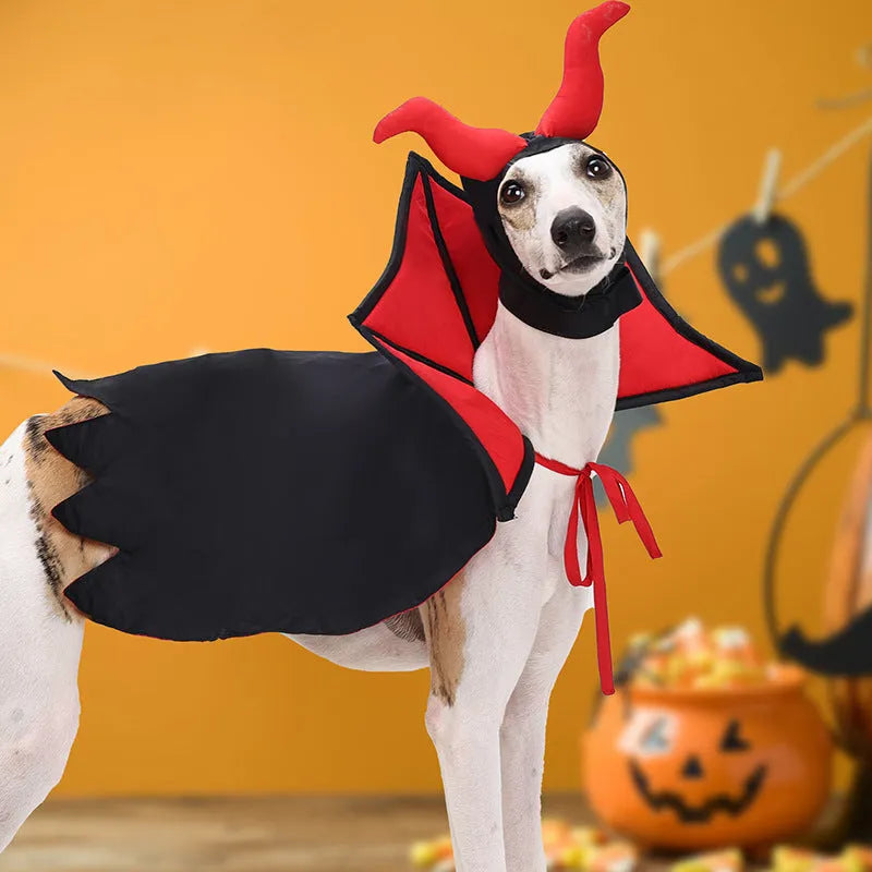 Black polyester pet vampire costume with long cloak and pointed hat for Halloween dressing