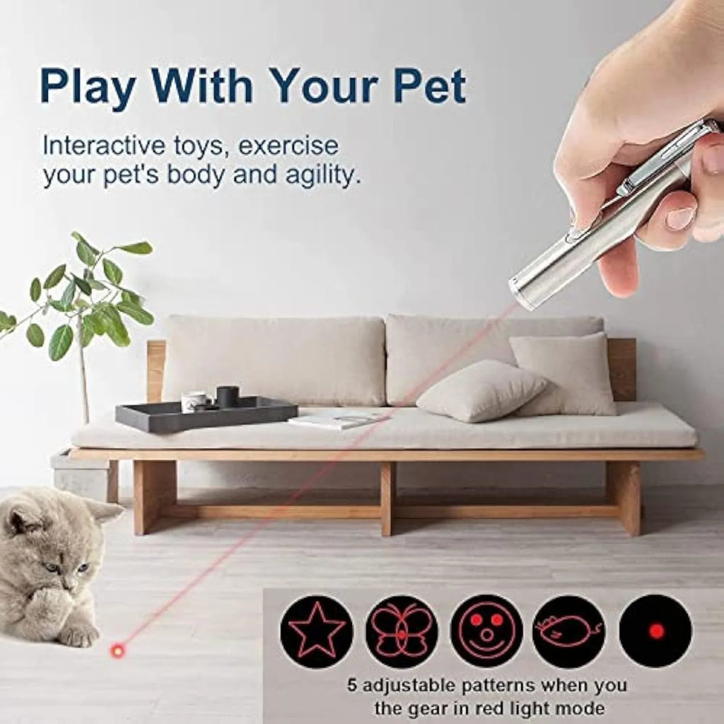 Silver aluminium alloy cat laser pointer toy with USB charging port and multiple light patterns.