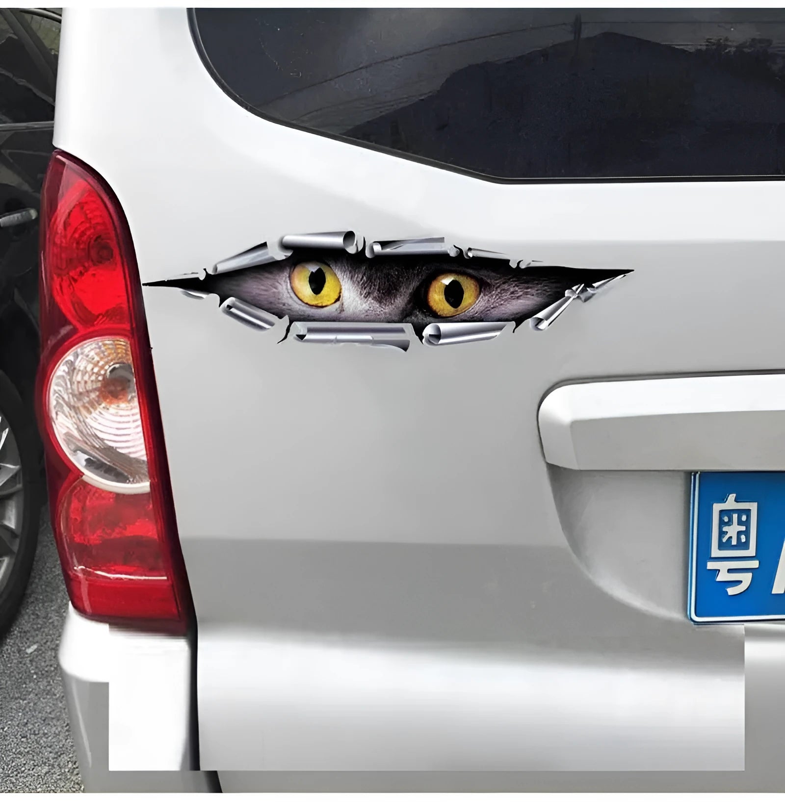 3D Tiger Eye and Eagle Eye car bumper sticker with transparent PVC adhesive material