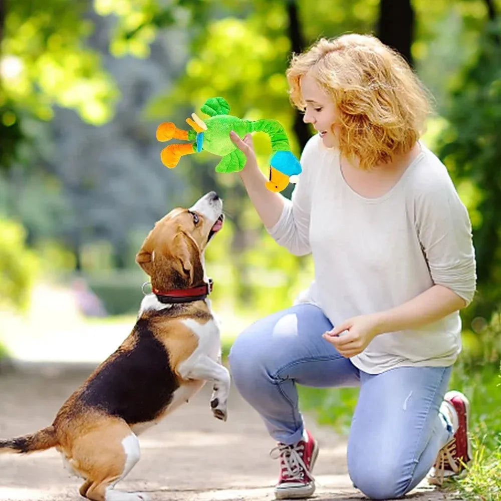 Screaming chicken sound squeaky dog chew toy in black, green, or orange.
