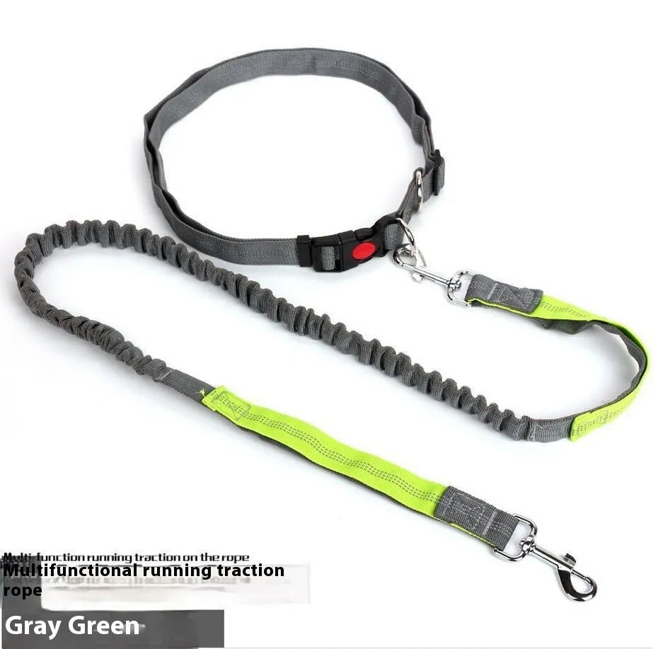 Reflective elastic dog leash in two-tone colours with 2.5cm width nylon sling