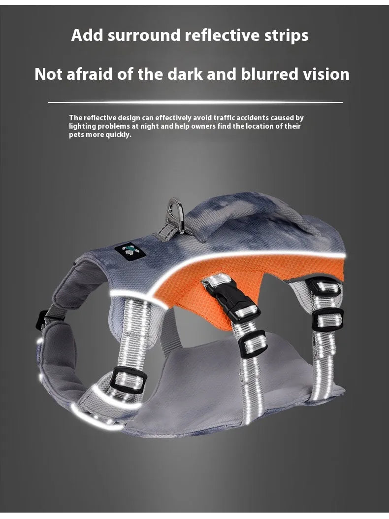 Reflective light blue polyester dog harness with chest strap on a small dog.
