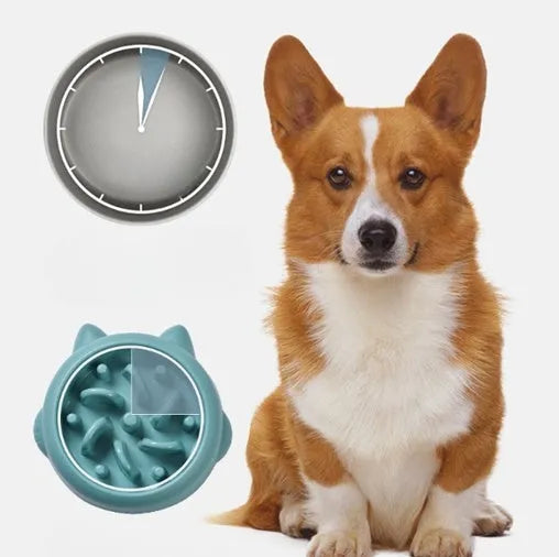 Green bone maze slow feeder dog bowl made of PP plastic for anti gulping and choking.