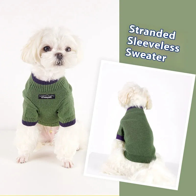 British style wool pet sweater on a small dog, showing the two-leg design in Crown Blue colour.