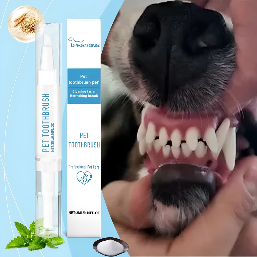 Pet toothbrush pen with soft bristles for cleaning cat and dog teeth
