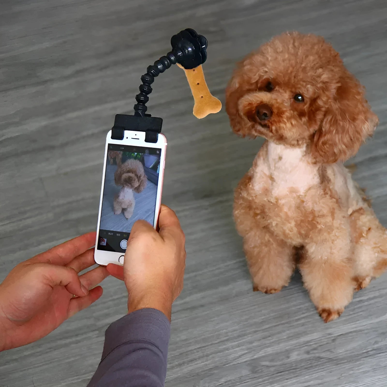 Black plastic pet selfie stick with treat clip extended to 15cm for mobile phone photography