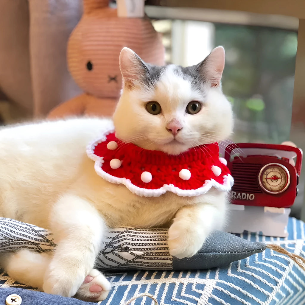Hand-knitted milk cotton pet collar with a cartoon animal pattern, shown in a customisable colour.