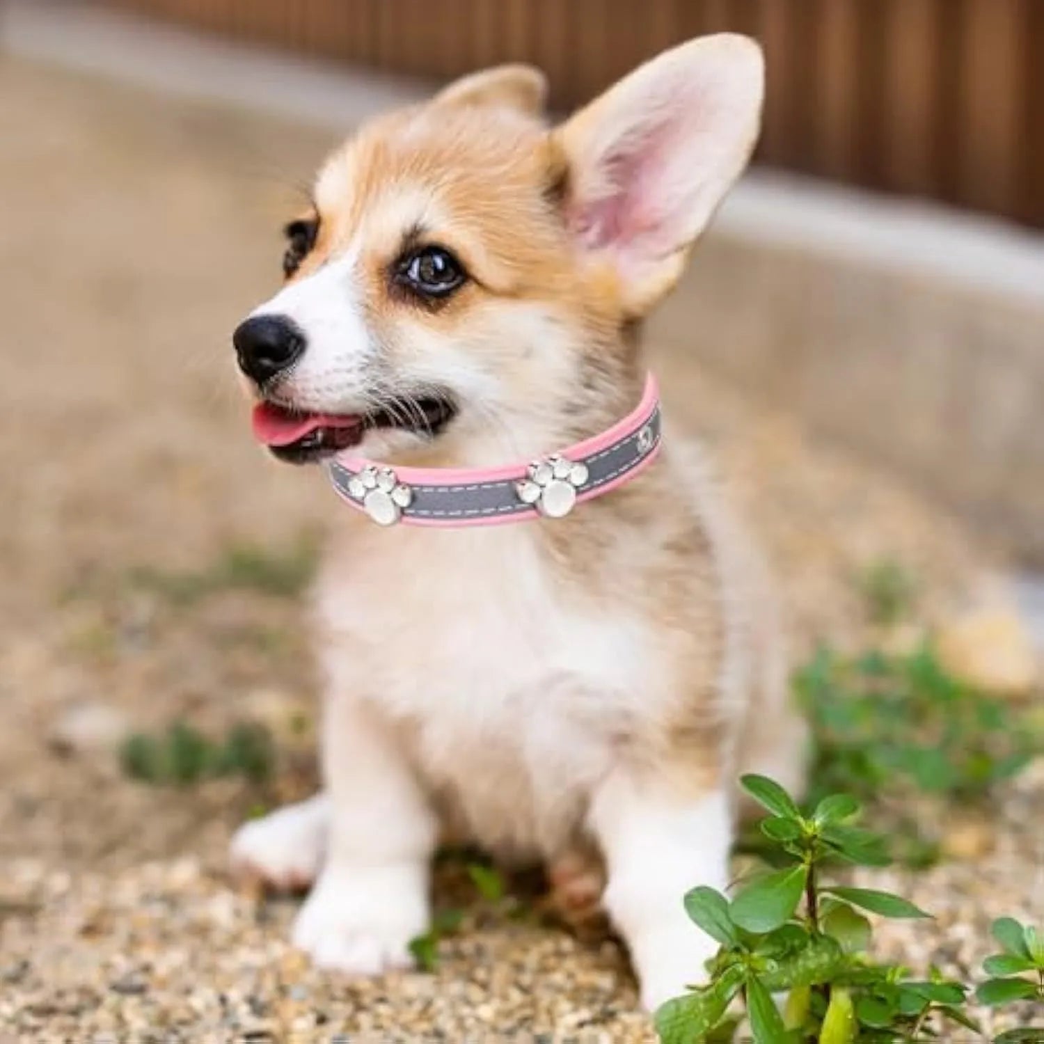 Reflective adjustable dog collar in soft PU leather with paw-shaped metal rivets