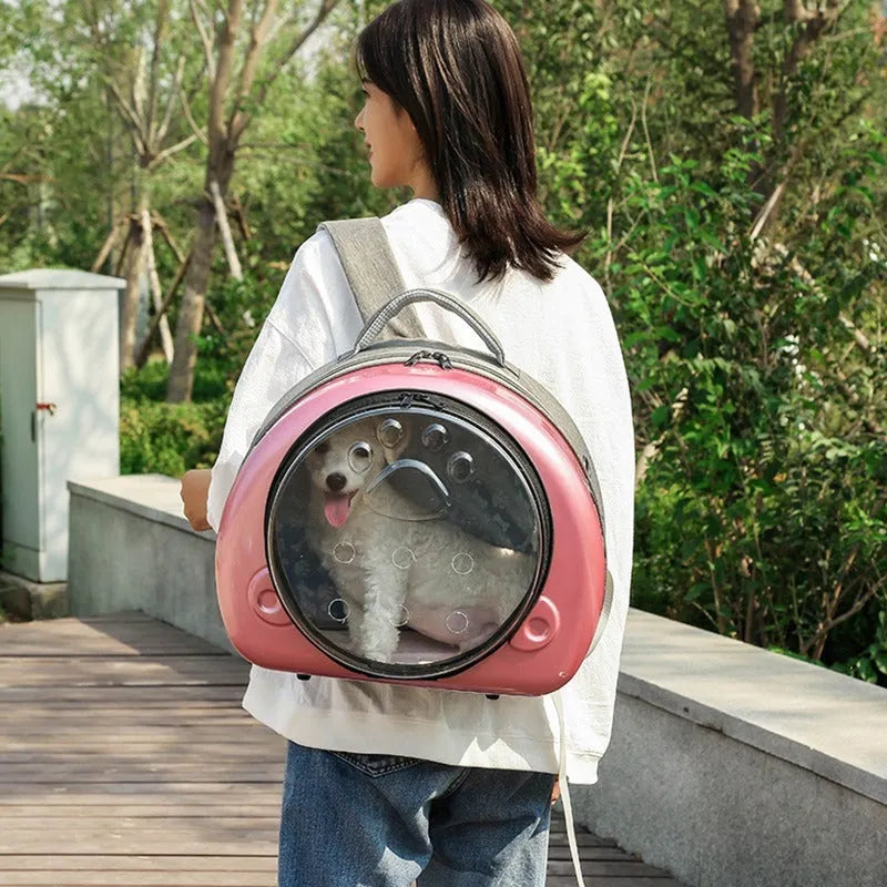 Transparent cat diaper bag in metallic rose gold colour with breathable design for pets up to 12 Jin