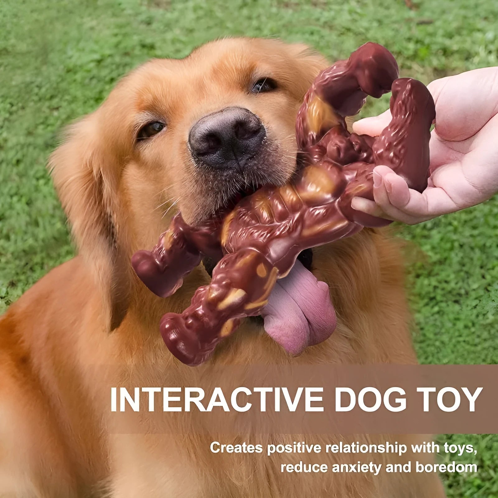 Scarlet beef-flavoured nylon dog molar chew toy for small to medium breeds