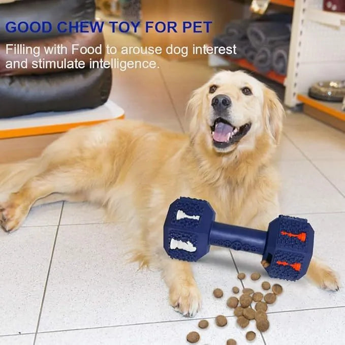 Durable hollow dumbbell dog chew toy in blue with textured surface for dental care, shown next to a treat.