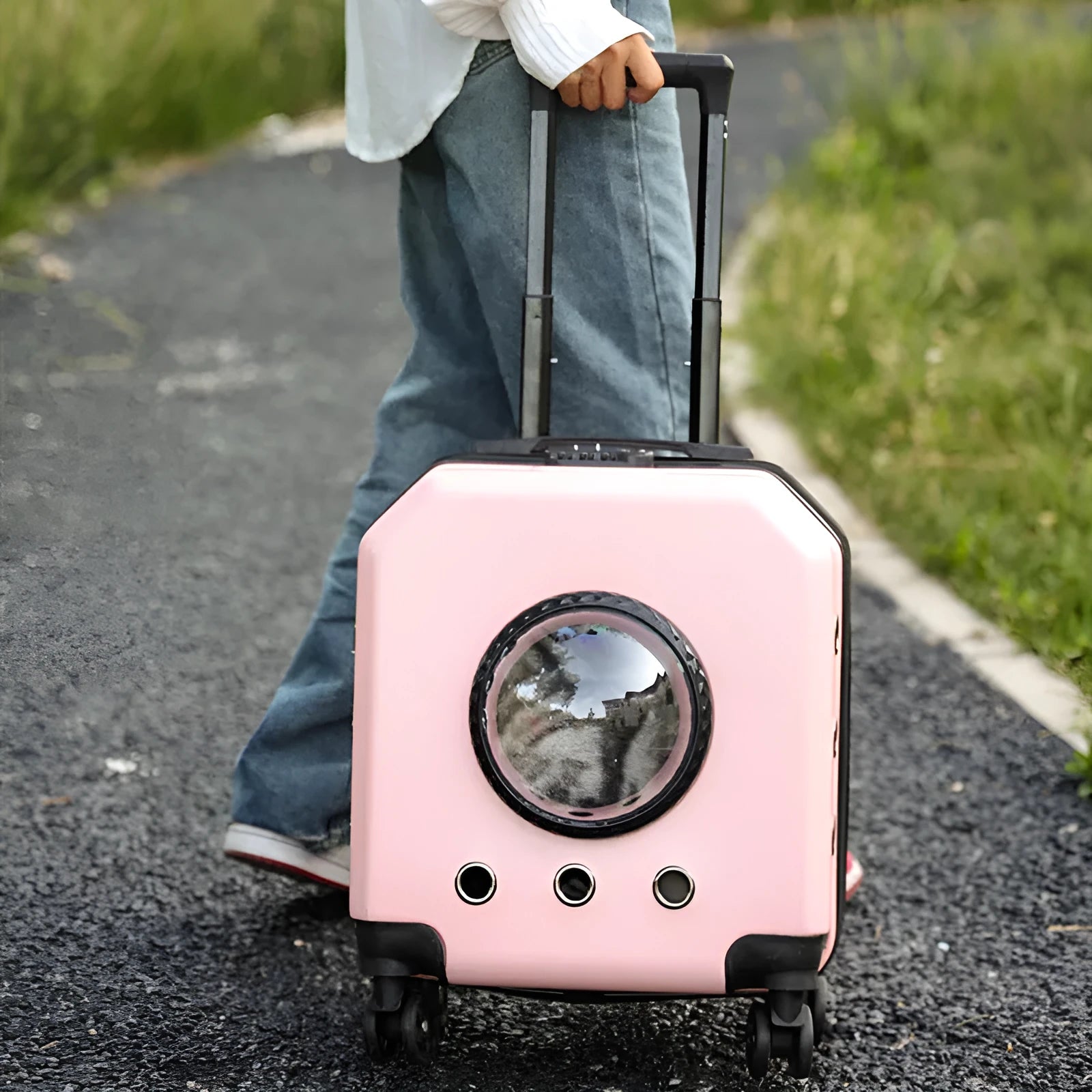 PVC hard shell pet flight trolley case with wheels in burgundy colour