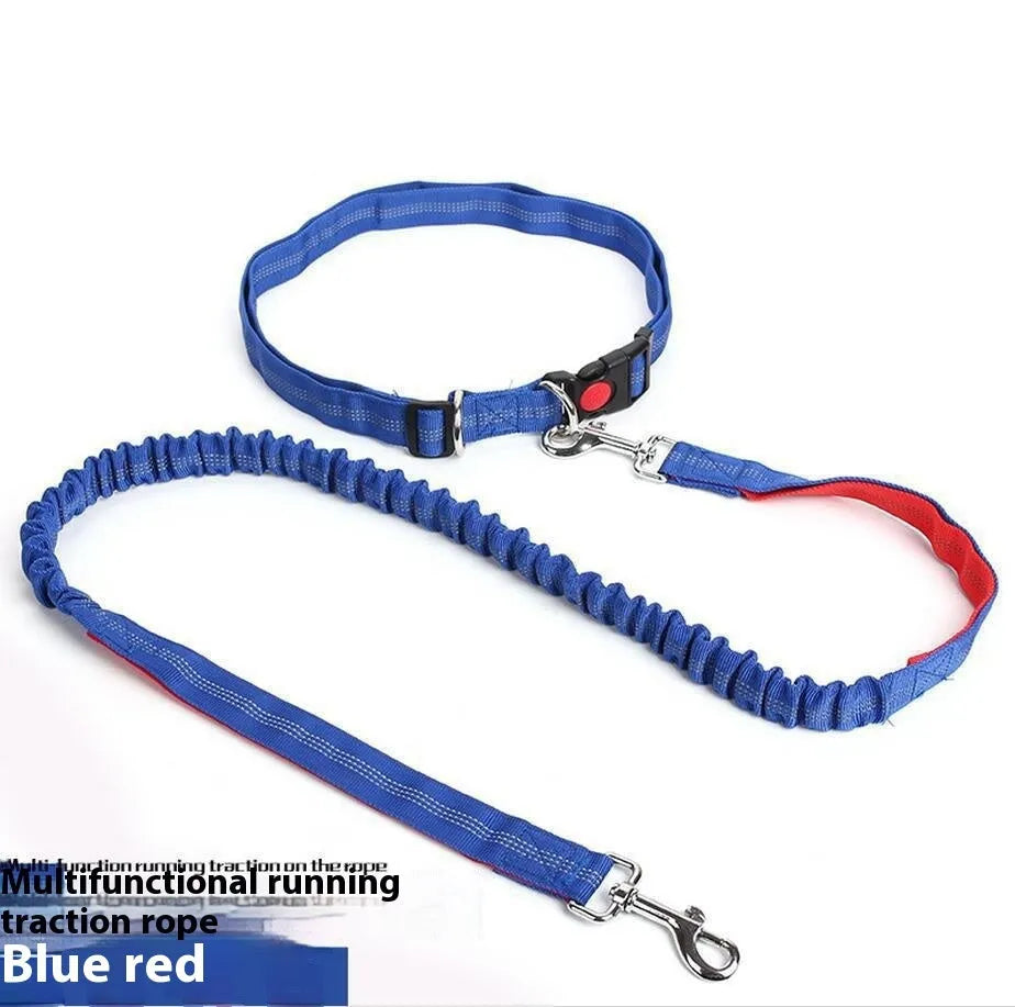 Reflective elastic dog leash in two-tone colours with 2.5cm width nylon sling
