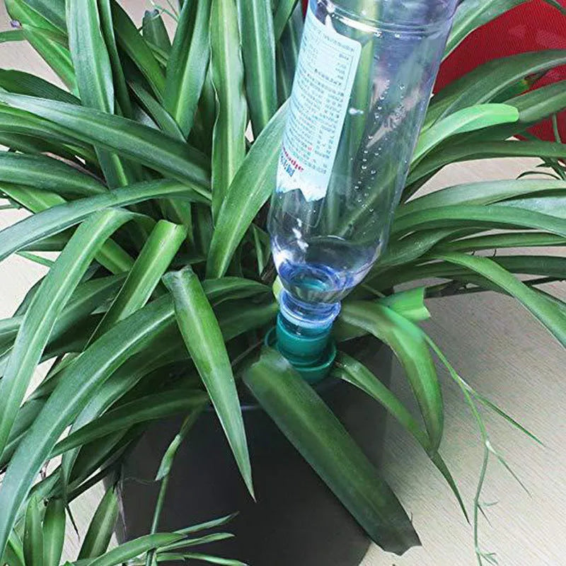 Green ceramic watering dripper for cola bottles providing automatic plant irrigation