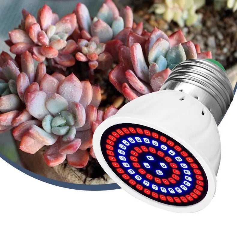White LED plant growth fill light with 80 beads for indoor potted plants covering 30-80 square centimetres.