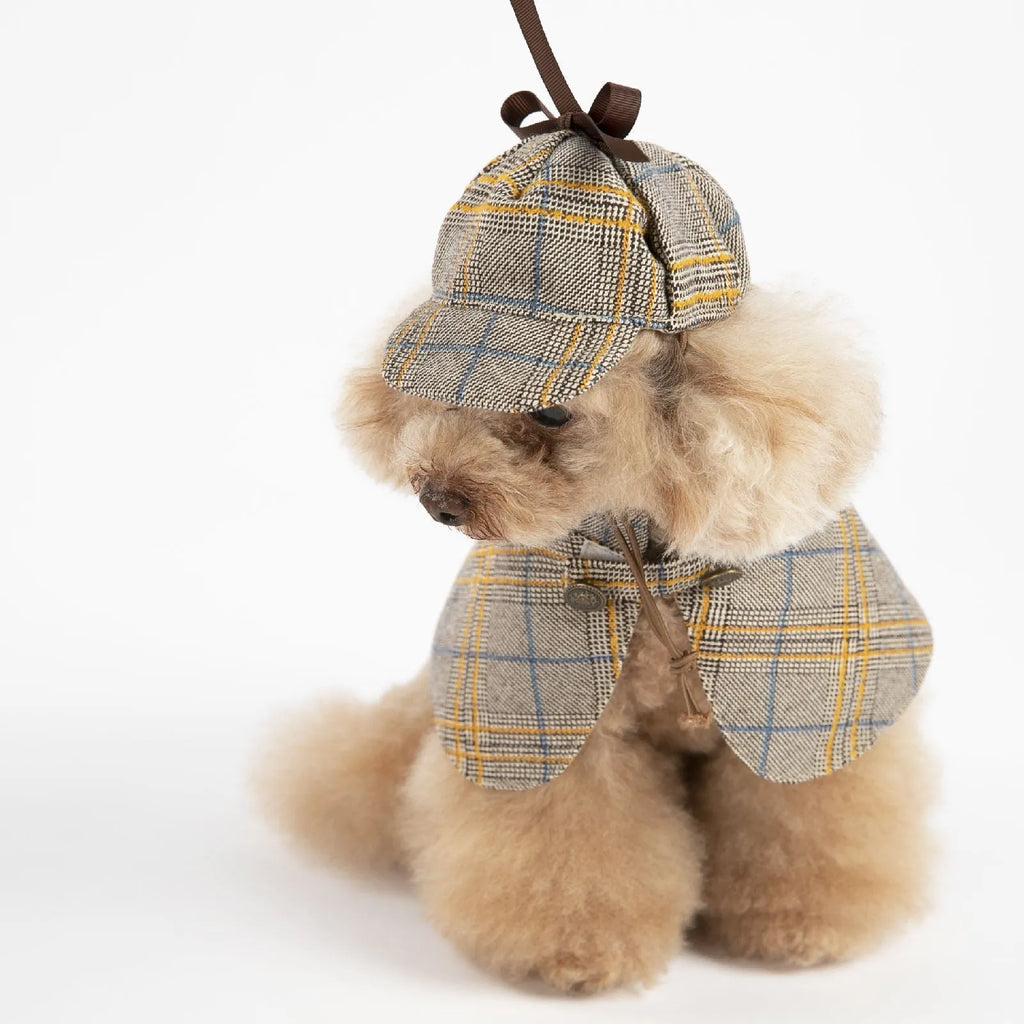 Camel-coloured cotton cloak with adjustable hat for a dog or cat, showing the cloak's style and fit.