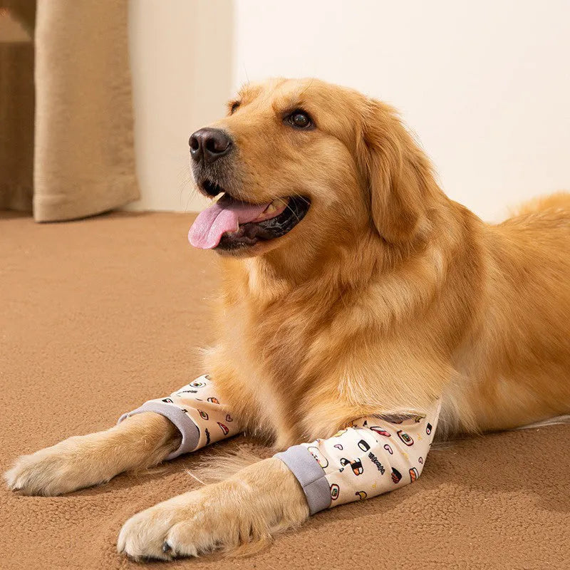 Dog wearing blue knee protector with padded elbow patch and matching scarf