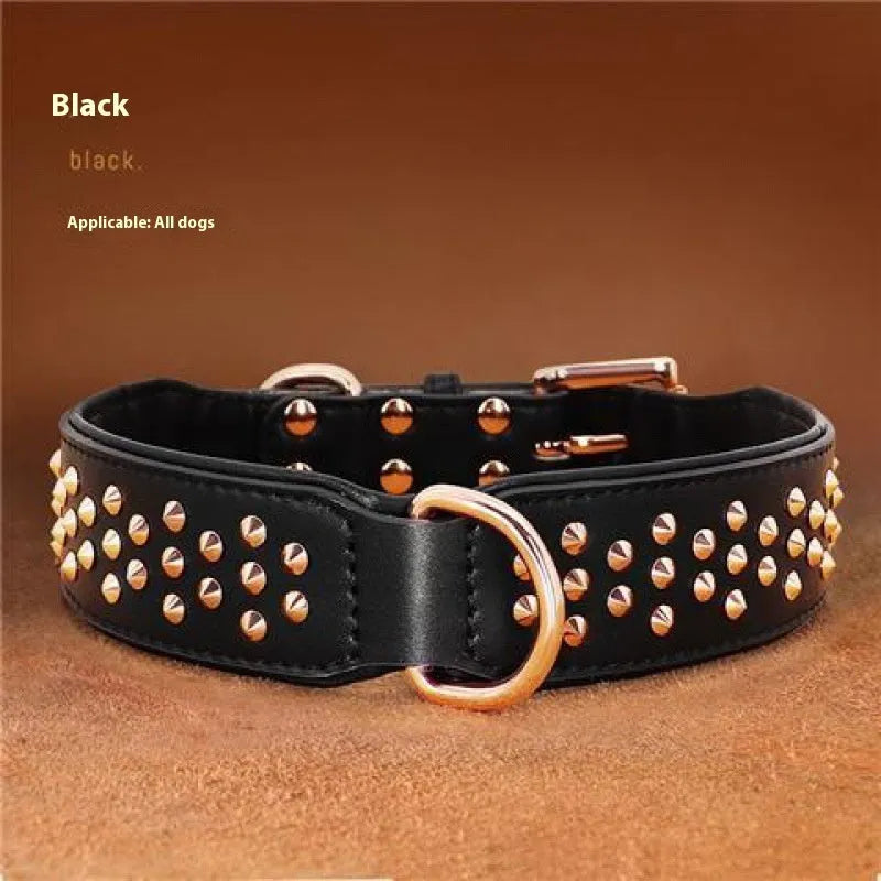 Leather dog collar with anti-bite rivets in chocolate colour showing adjustable buckle and rivet details