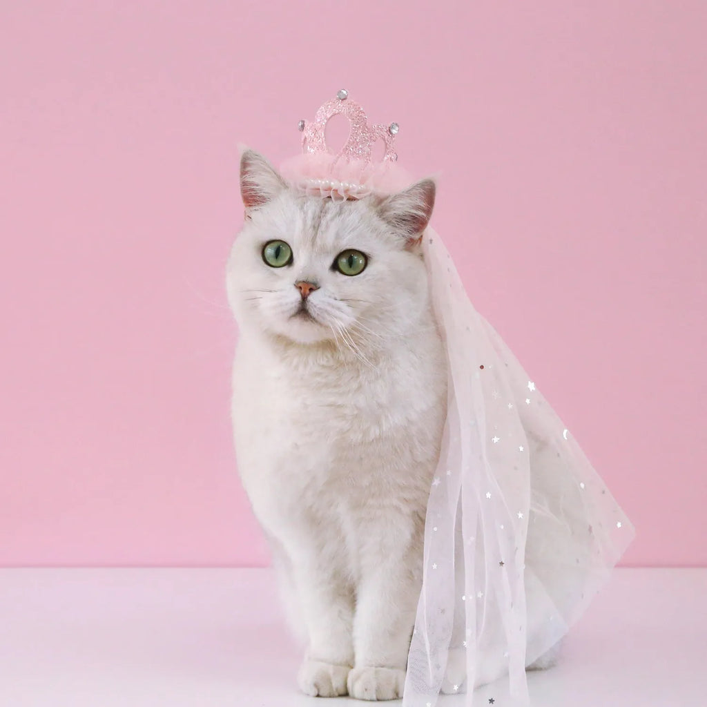 Princess-style cat wedding crown headdress with veil in beige and pink colour options