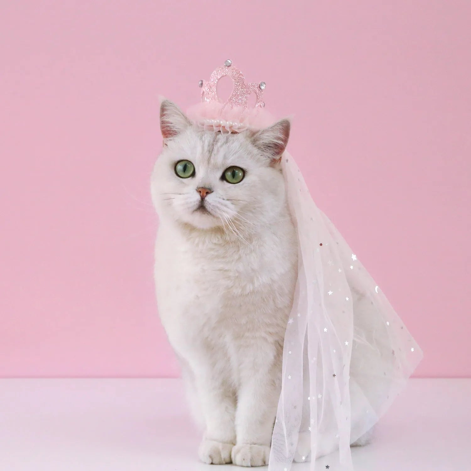 Princess-style cat wedding crown headdress with veil in beige and pink colour options