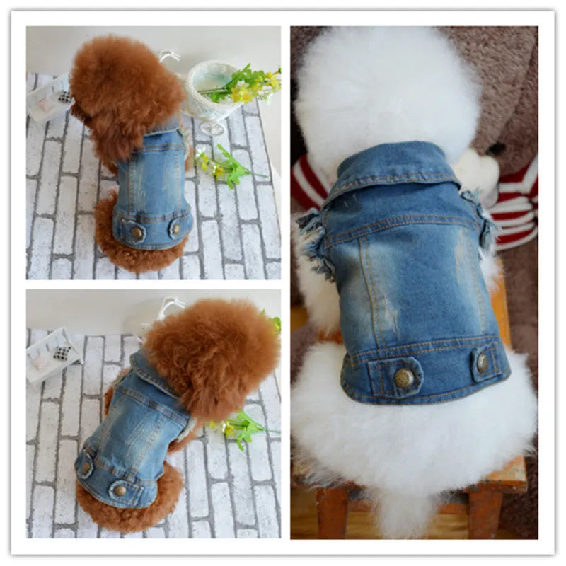 Denim dog vest with retro scratch pattern in dark wash for small breed wear