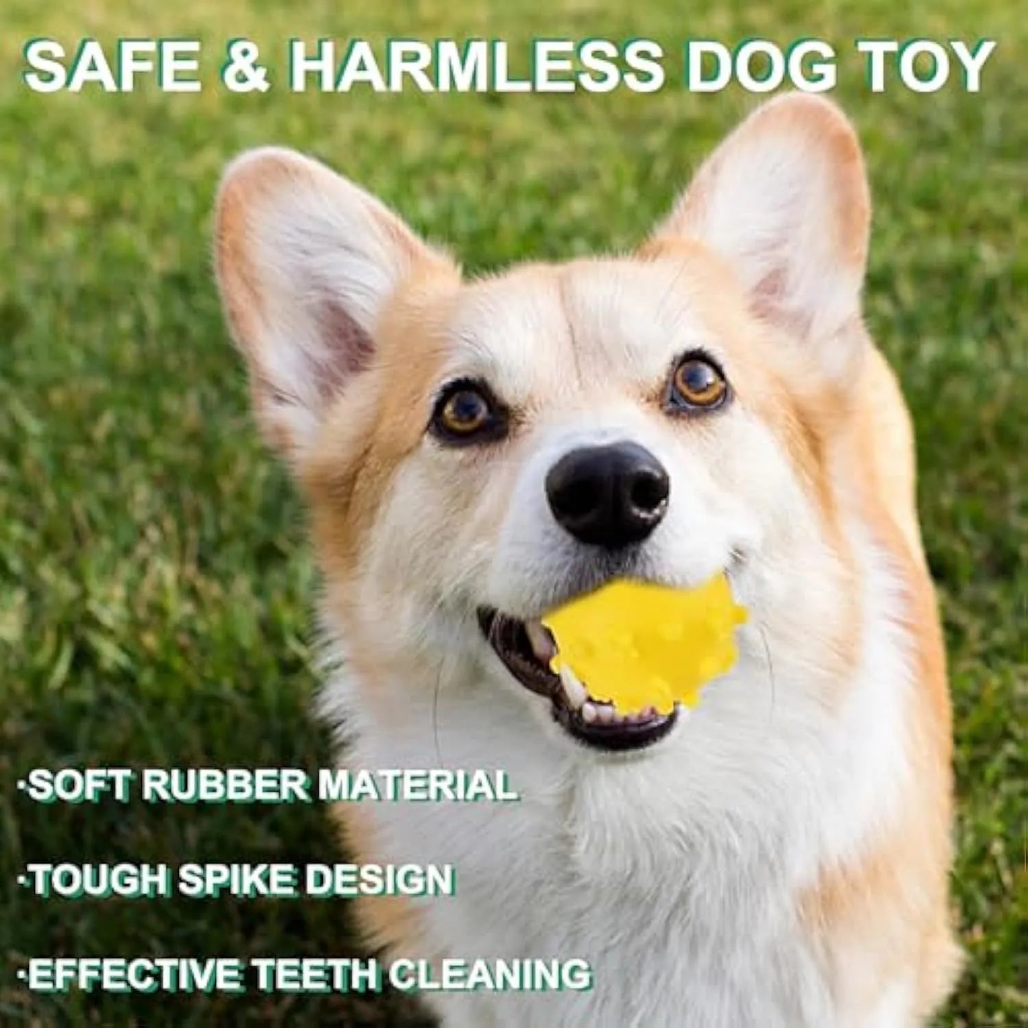 Bright coloured spiked squeaky balls for small dogs on grass