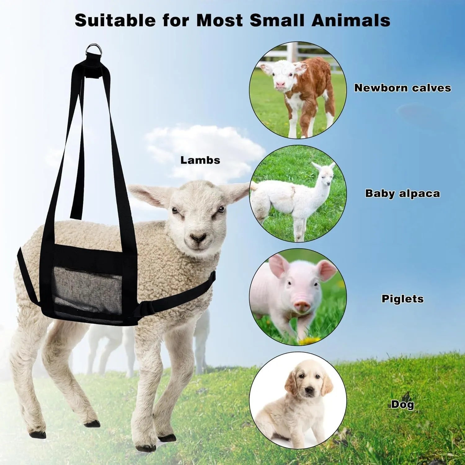Black woven polyester calf large dog weighing sling measuring 35 by 150 centimetres.