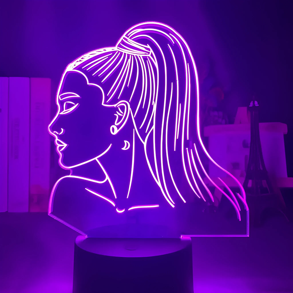 3D acrylic night light in European style with LED illumination and colour options