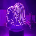 3D acrylic night light in European style with LED illumination and colour options