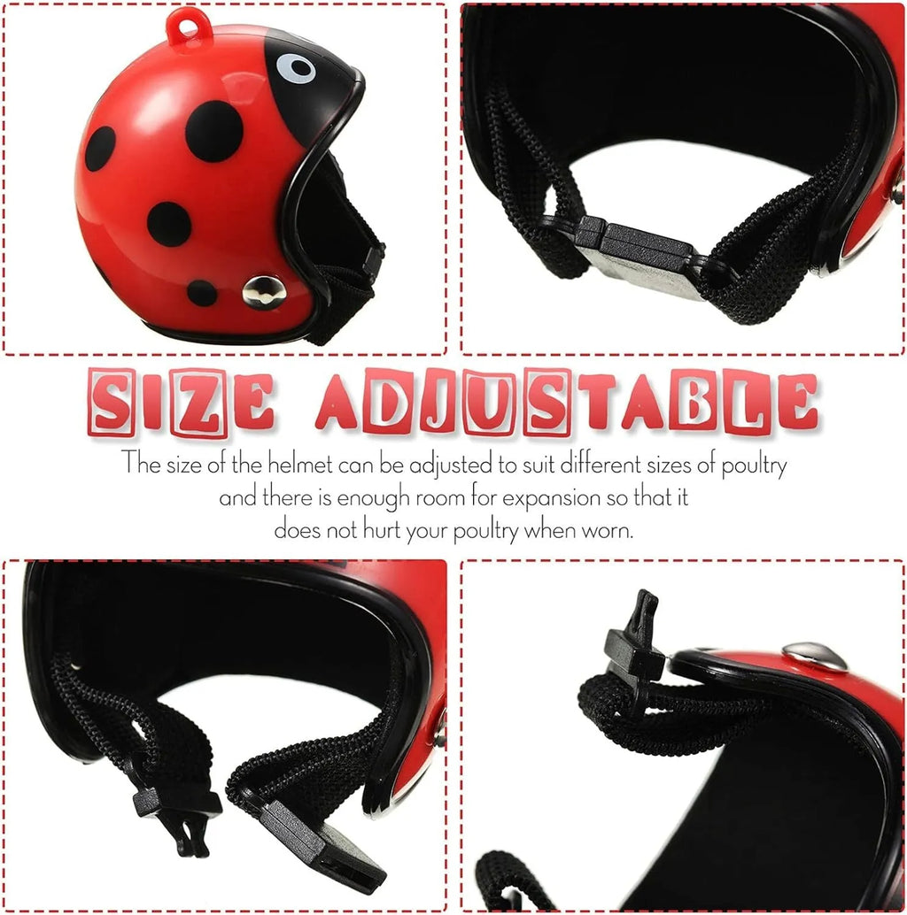 Small pet safety helmet on chicken with adjustable elastic bands and sponge lining
