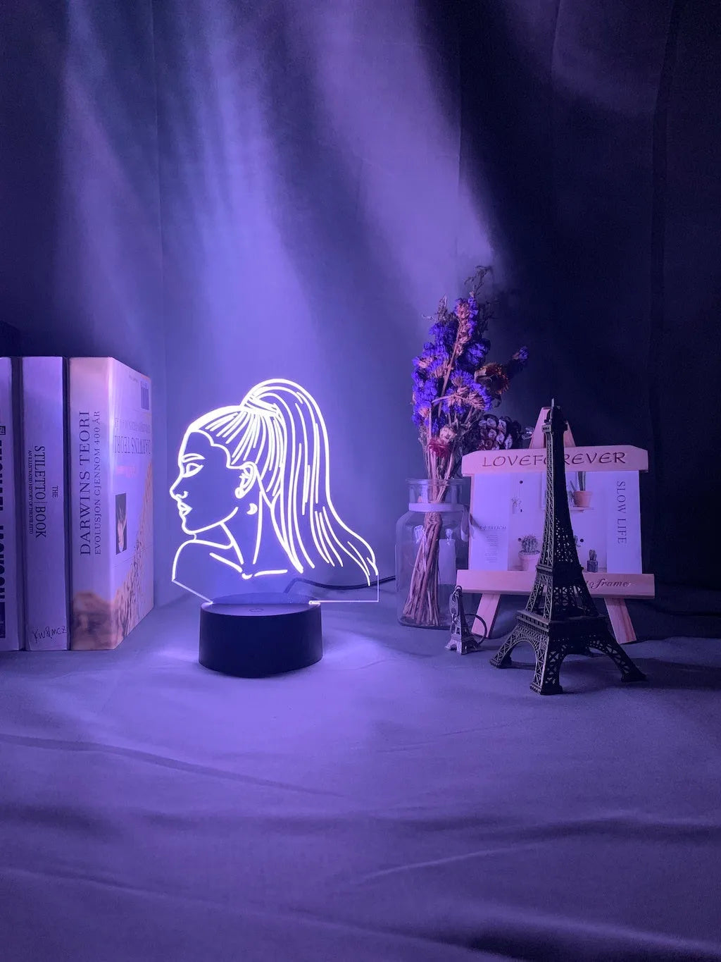 3D acrylic night light in European style with LED illumination and colour options