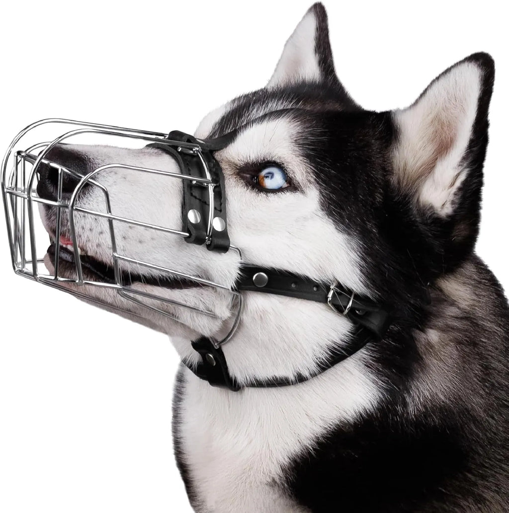Black metal dog muzzle for a Golden Retriever or German Shepherd