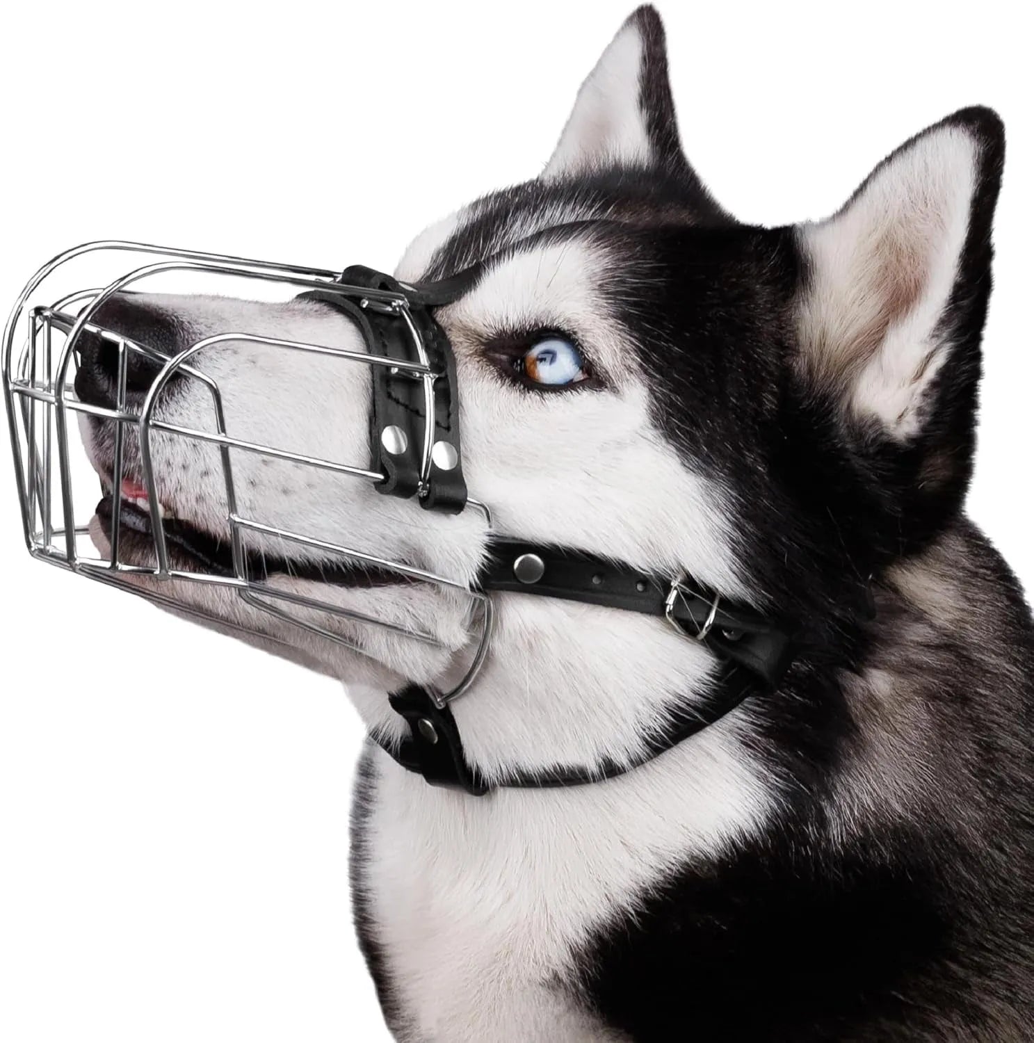 Black metal dog muzzle for a Golden Retriever or German Shepherd
