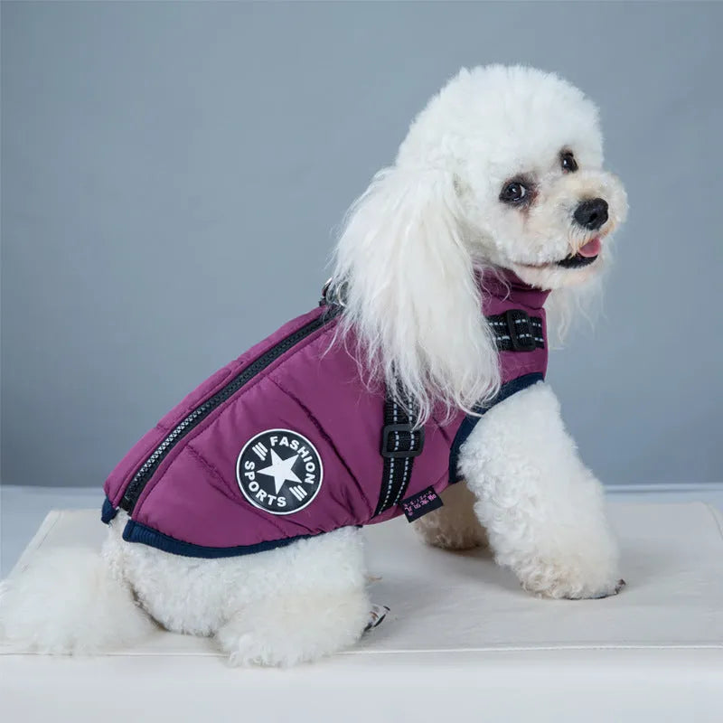 Red waterproof dog coat with built-in harness on a large breed dog.