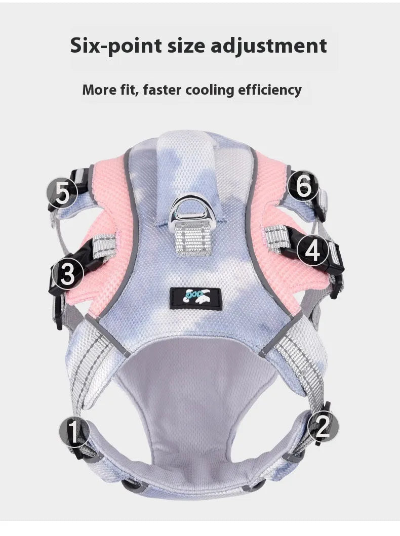 Reflective light blue polyester dog harness with chest strap on a small dog.