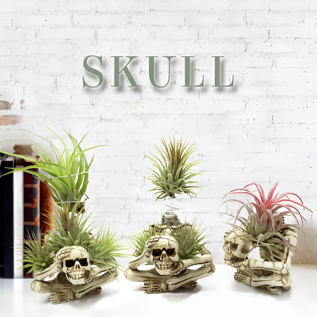 Gothic skull resin potted bracket for soilless air plants on a dark surface