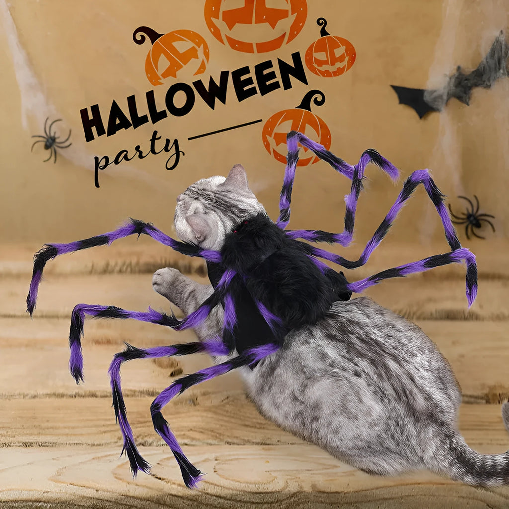 Halloween spider costume for pets in polyester with S, M, L sizing and grey, brown, black, purple colours
