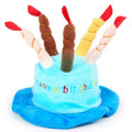 Blue and pink coloured toy birthday hat for dogs on a white background.