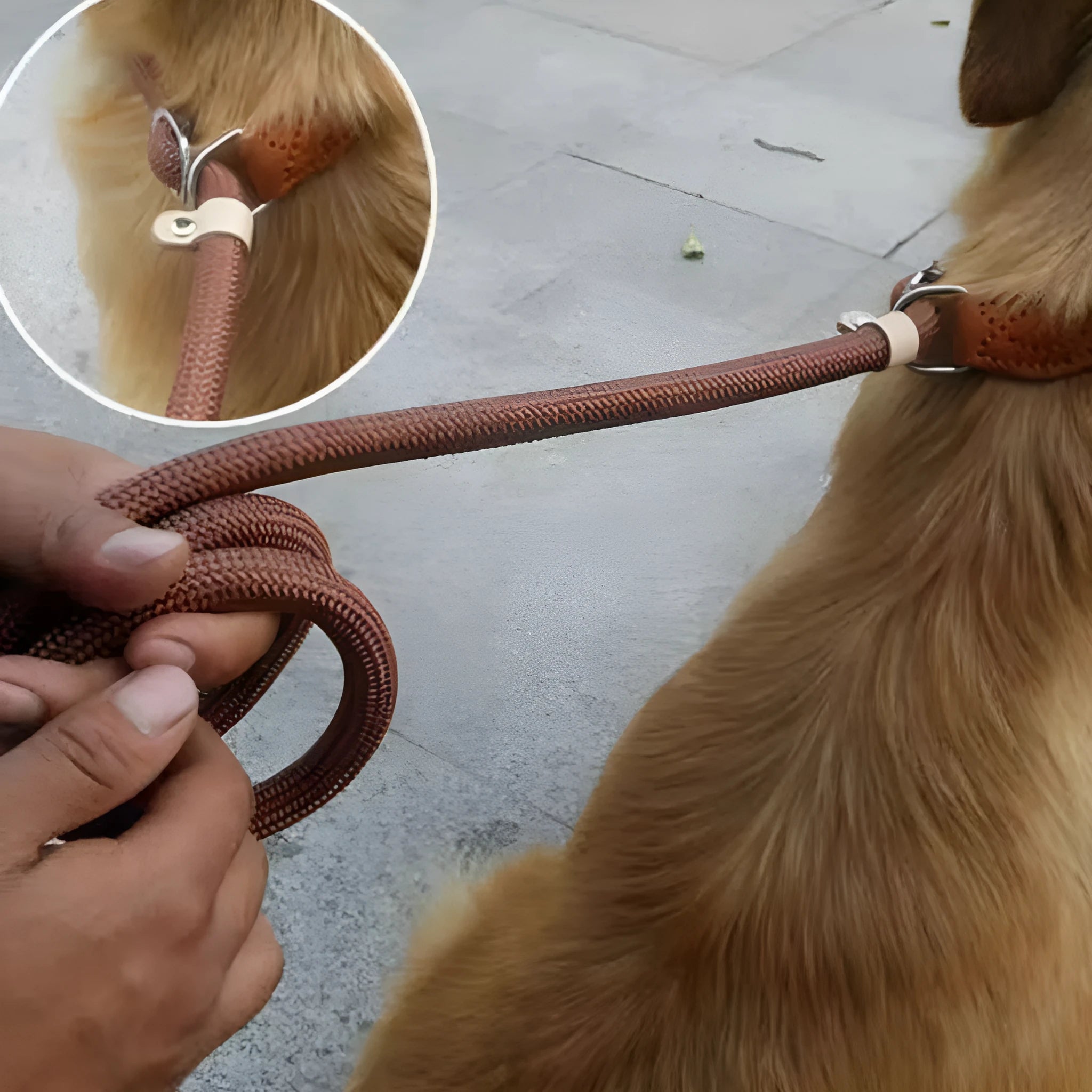 Brown nylon dog leash with hand holding rope, length 2.1 metres