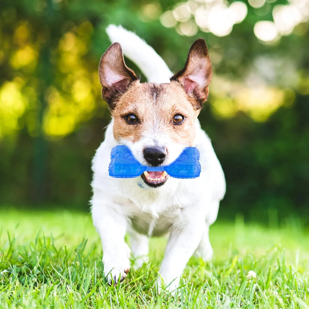 Freezable non-toxic dog chew toy in bone and circle shapes for teething and cooling.