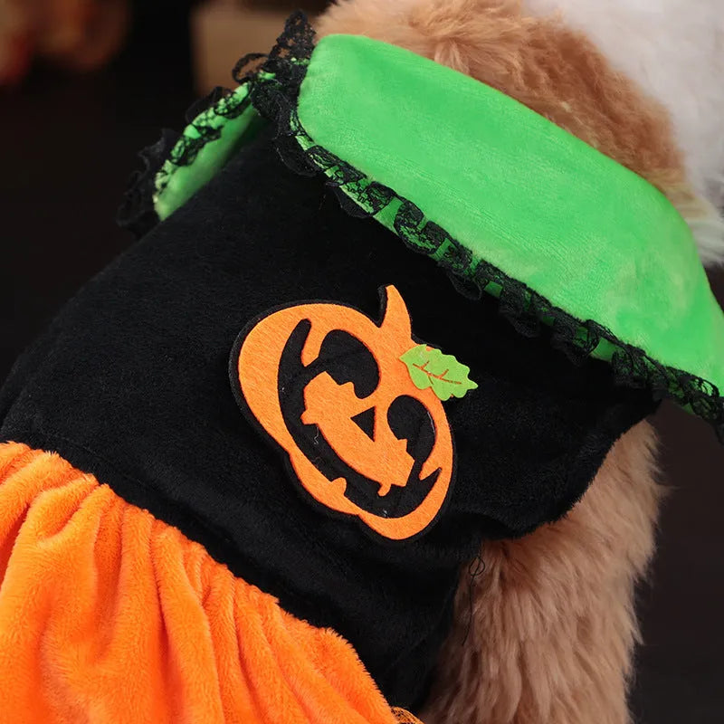 Crystal velvet pet Halloween costume in pumpkin skirt and sweater styles for small dogs and cats