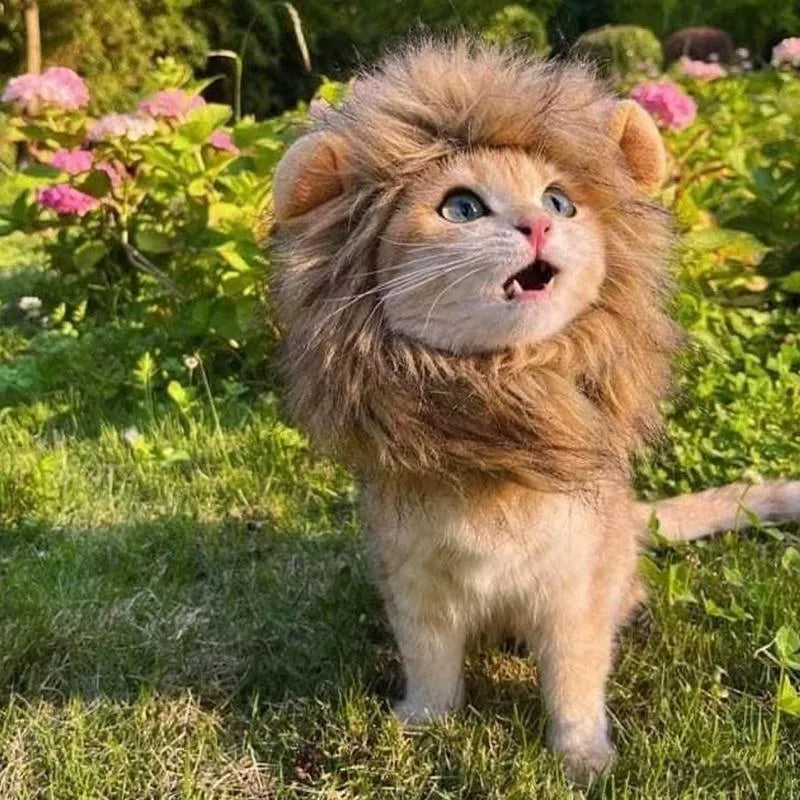 Lion mane wig accessory for cat with artificial hair and plush ears