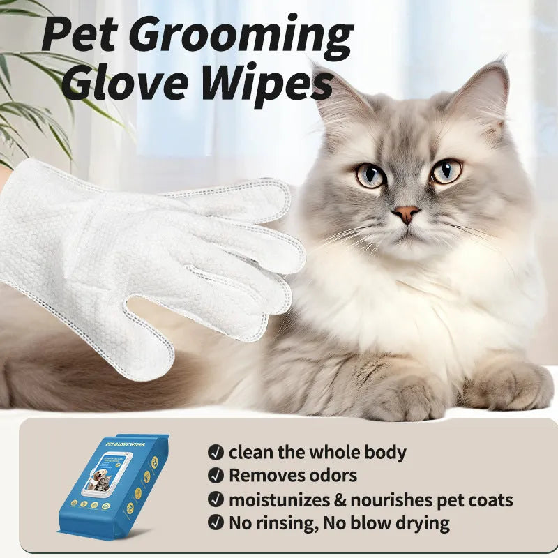 Pack of disposable plastic pet cleaning gloves for cats and dogs