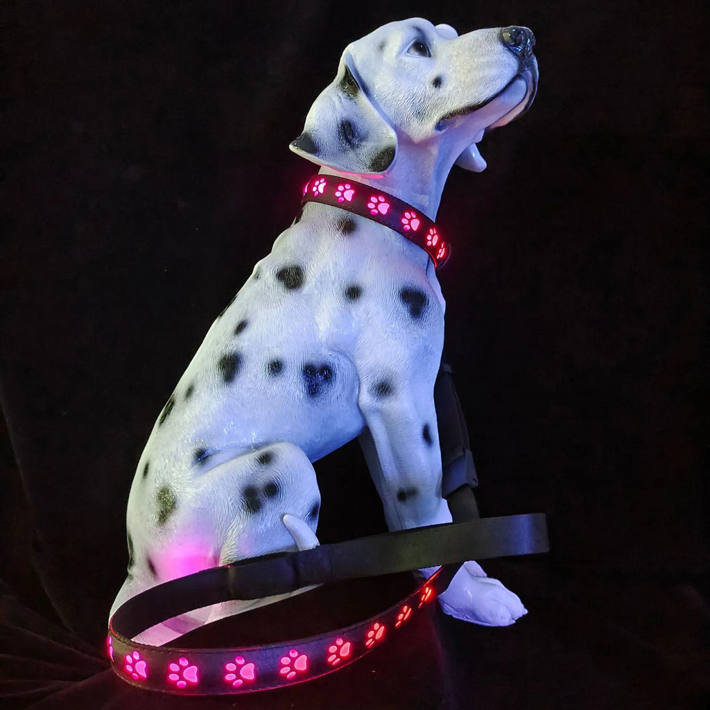 USB rechargeable LED luminous dog collar with glowing paw print pattern in 7 changing colours