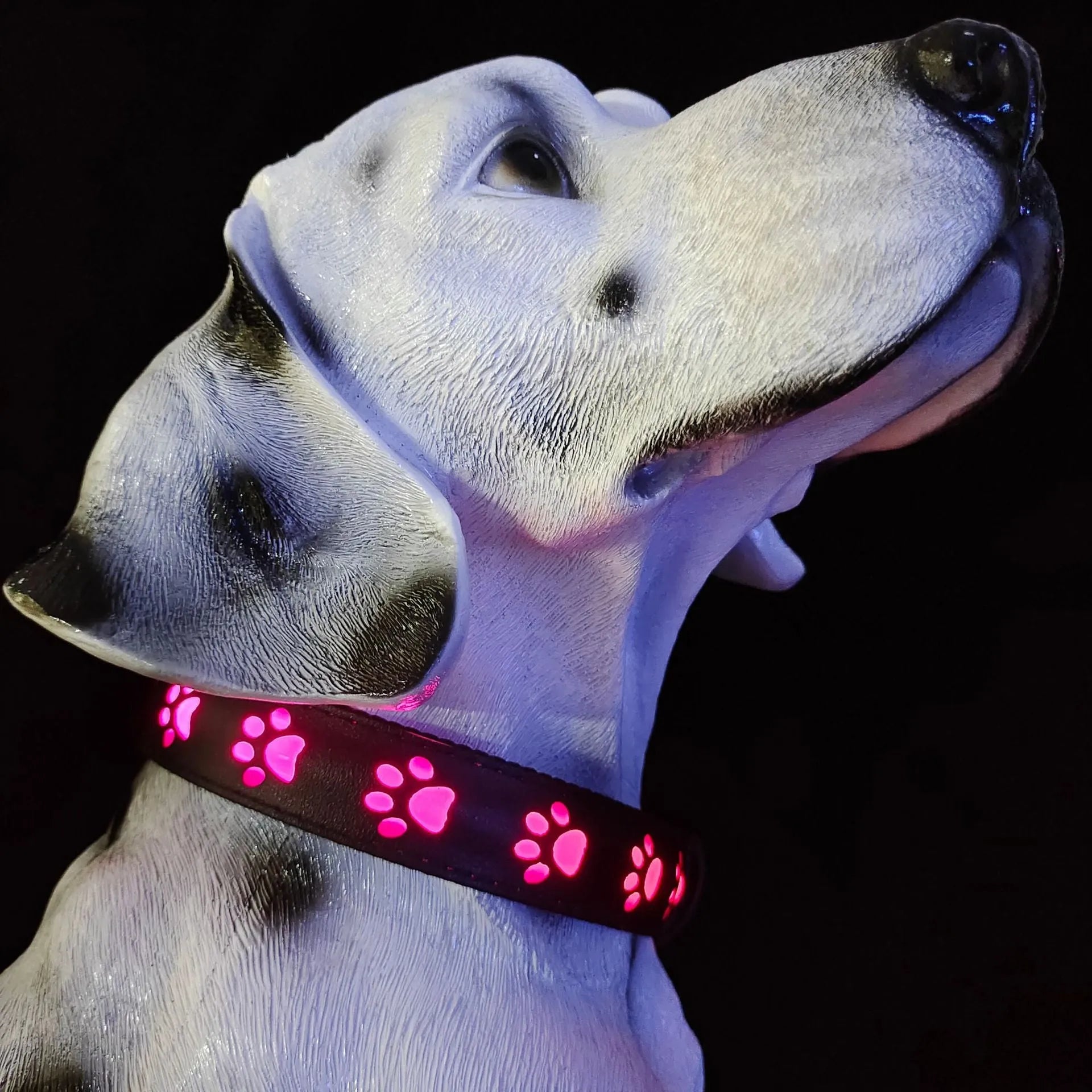 USB rechargeable LED luminous dog collar with glowing paw print pattern in 7 changing colours