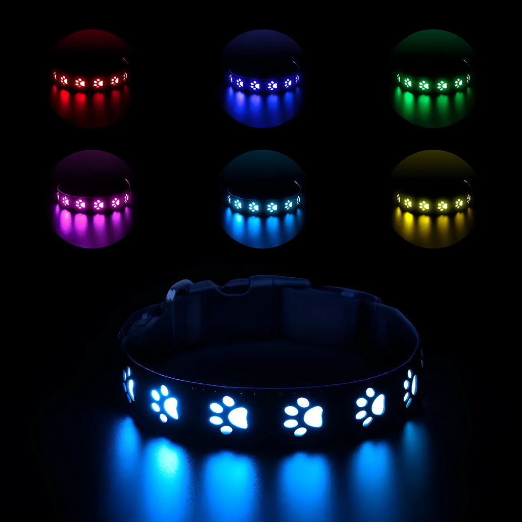 USB rechargeable LED luminous dog collar with glowing paw print pattern in 7 changing colours