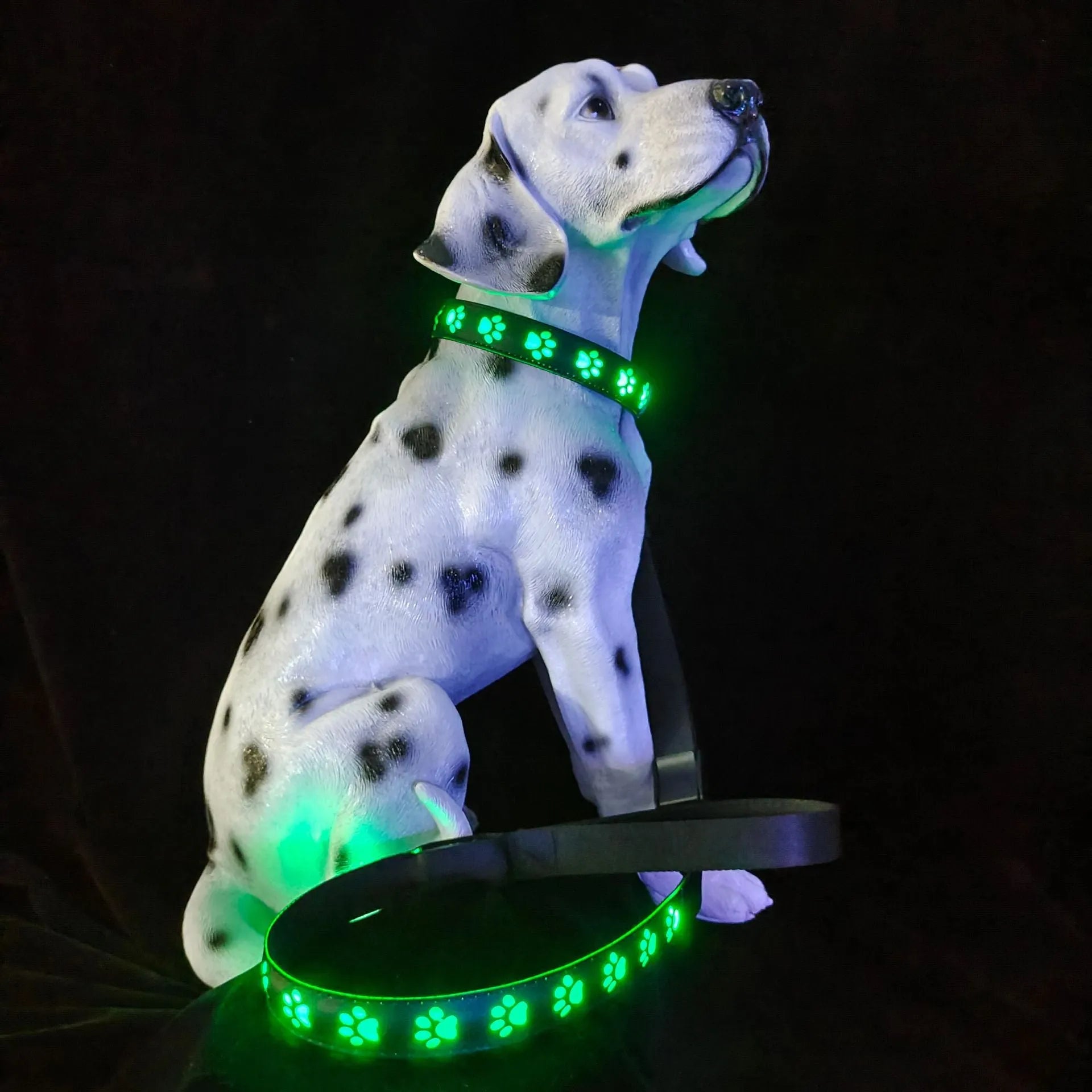 USB rechargeable LED luminous dog collar with glowing paw print pattern in 7 changing colours