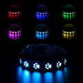 USB rechargeable LED luminous dog collar with glowing paw print pattern in 7 changing colours